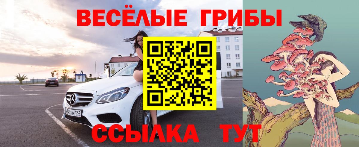 Саров  Галлюциногенные грибы прущие грибы  Вход с VPN 